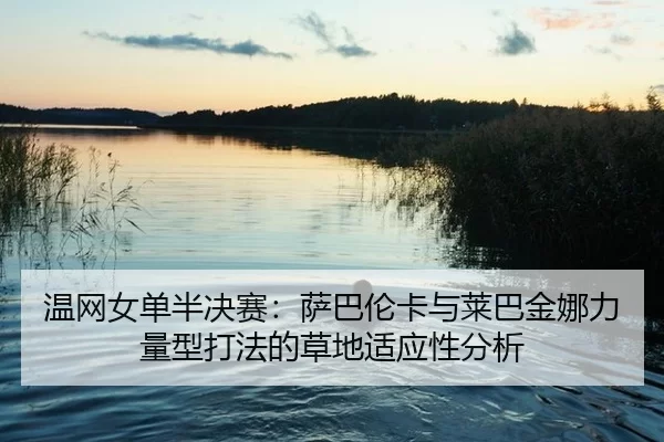 wen-wang-nv-dan-ban-jue-sai-sa-ba-lun-ka-yu-lai-ba-jin-na-li-liang-xing-da-fa-de-cao-di-shi-ying-xing-fen-xi-2-442.jpg